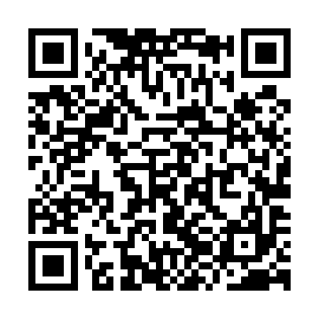 QR code for YZL597