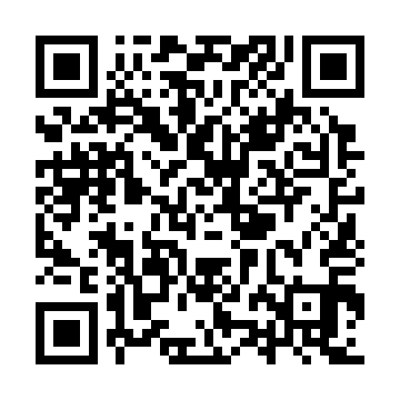 QR code for YZN311