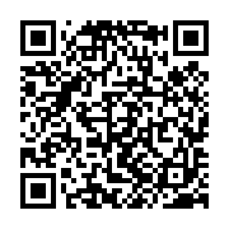 QR code for YZN493