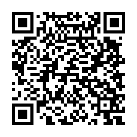 QR code for YZT463