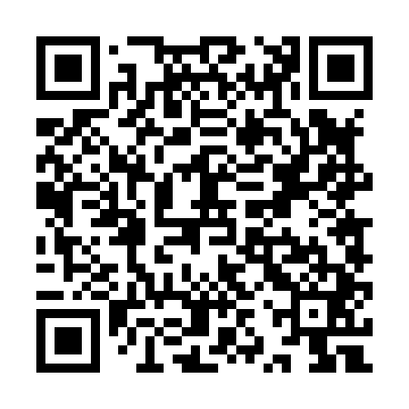 QR code for YZT841