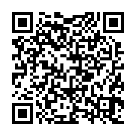 QR code for YZV263