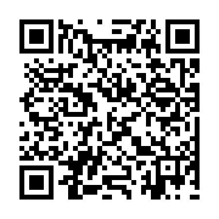 QR code for YZV306