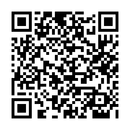 QR code for ZAR208