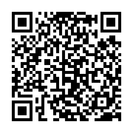 QR code for ZAU695