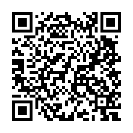 QR code for ZBG413