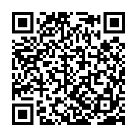 QR code for ZBI532