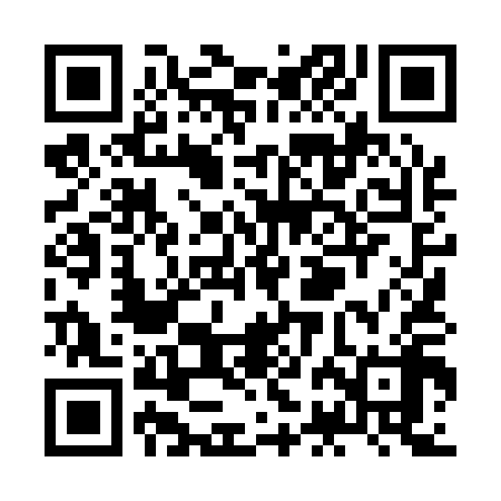 QR code for ZBL118