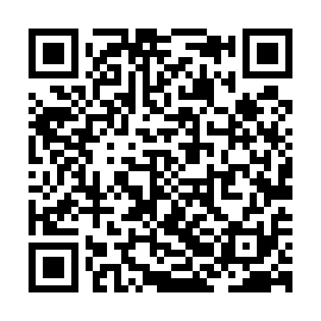 QR code for ZBL511