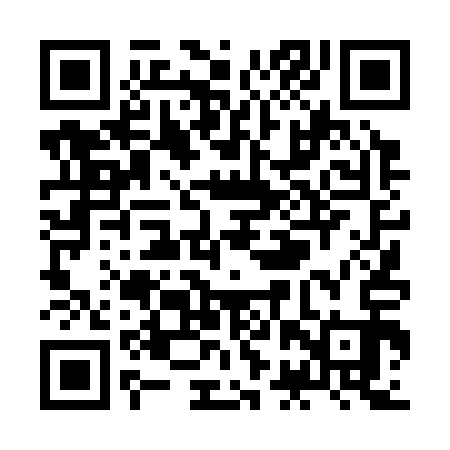 QR code for ZBT313