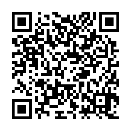 QR code for ZBV334