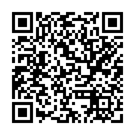 QR code for ZCC383