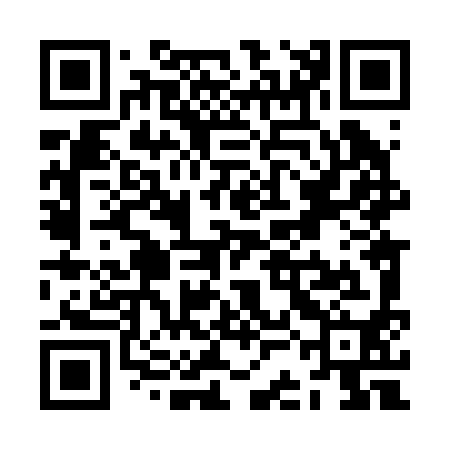 QR code for ZCL290