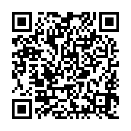 QR code for ZCN993