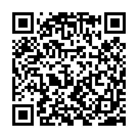 QR code for ZCU493