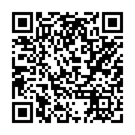 QR code for ZDE203