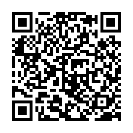 QR code for ZDF228