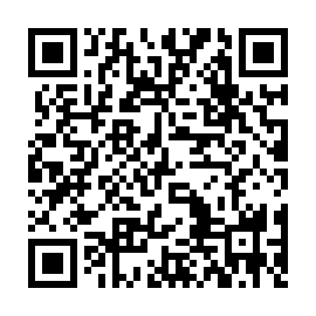 QR code for ZDH838