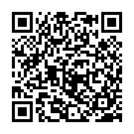 QR code for ZDI004
