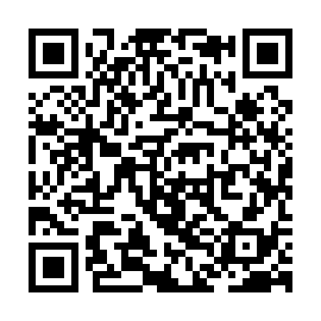 QR code for ZDI138