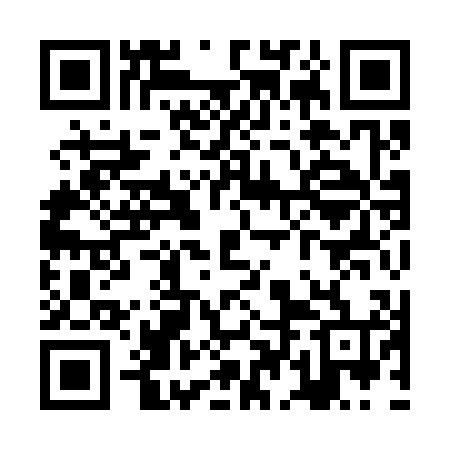 QR code for ZDI304