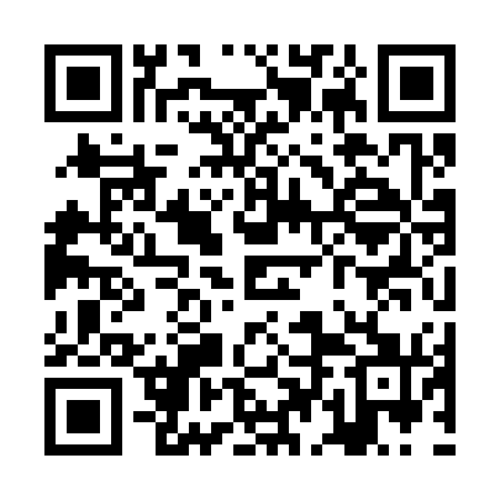 QR code for ZDK371