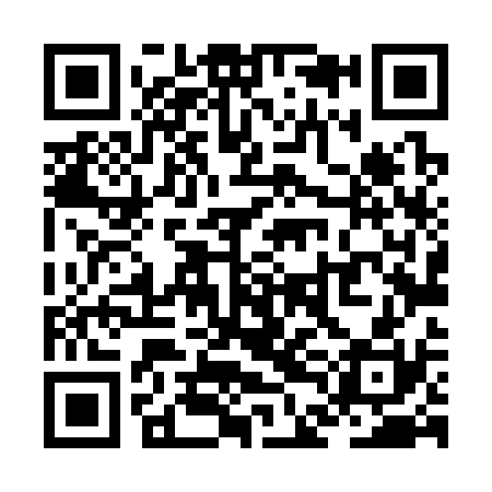 QR code for ZDL330