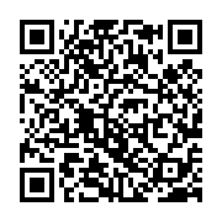 QR code for ZDL419