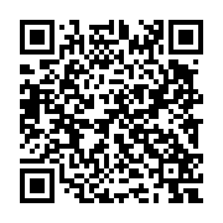 QR code for ZDL427