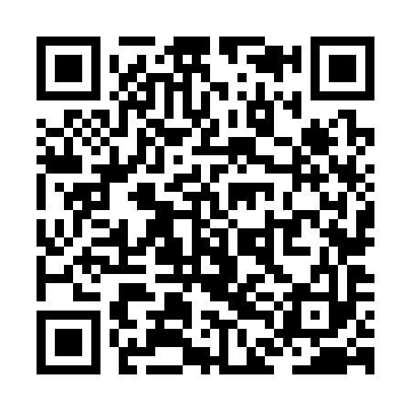 QR code for ZDN393