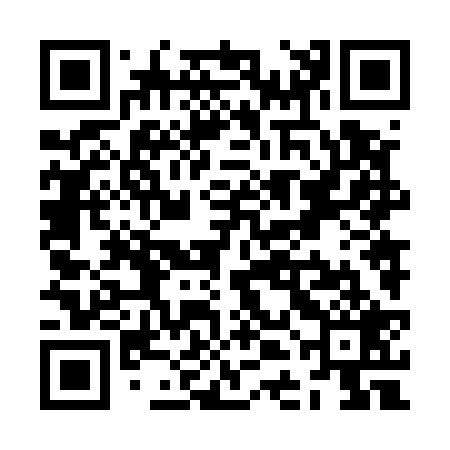 QR code for ZDN529