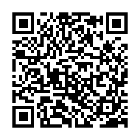 QR code for ZDN960