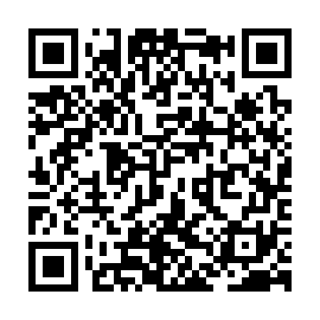 QR code for ZDS371