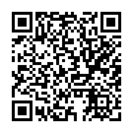 QR code for ZDU313
