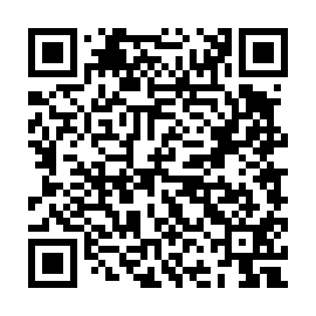 QR code for ZFD411