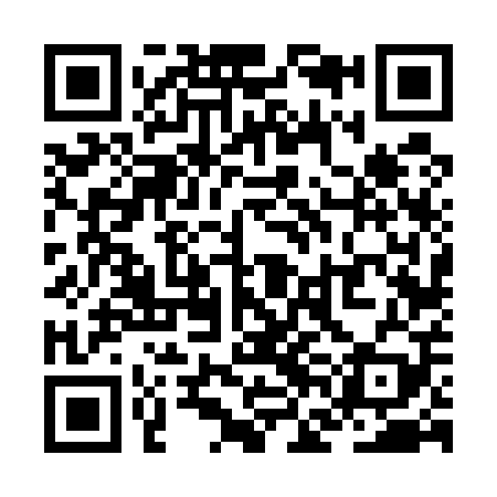 QR code for ZFF509