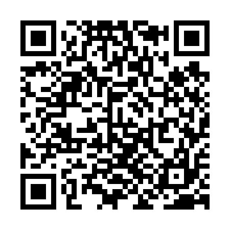 QR code for ZFG617