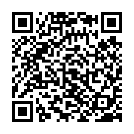 QR code for ZFG699