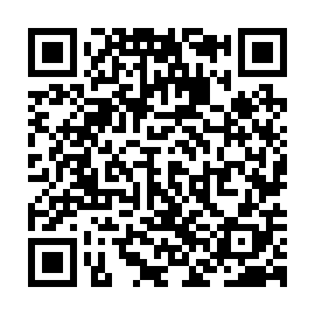 QR code for ZFN208