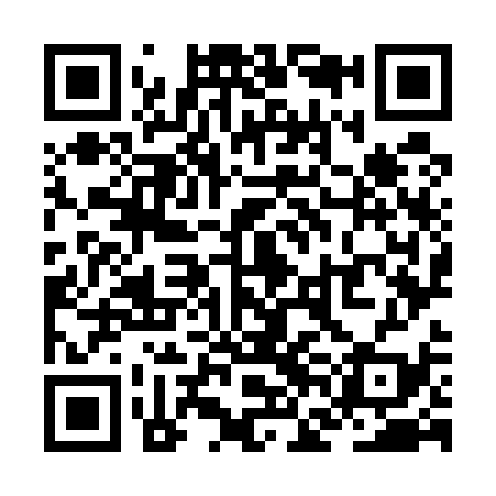 QR code for ZFO539
