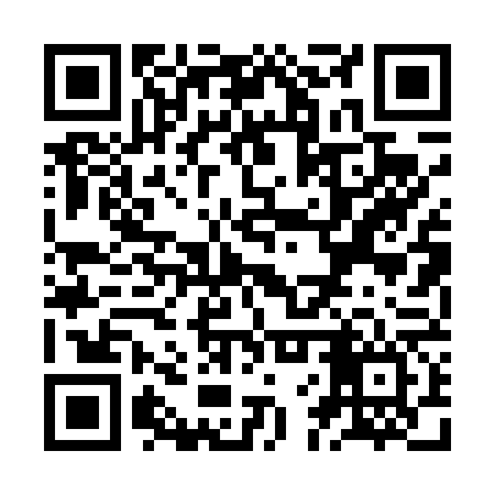 QR code for ZFP466