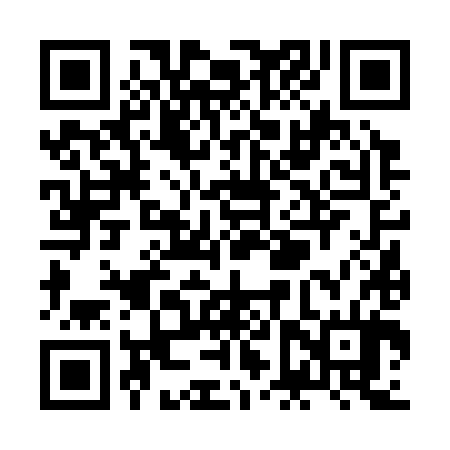 QR code for ZFV384