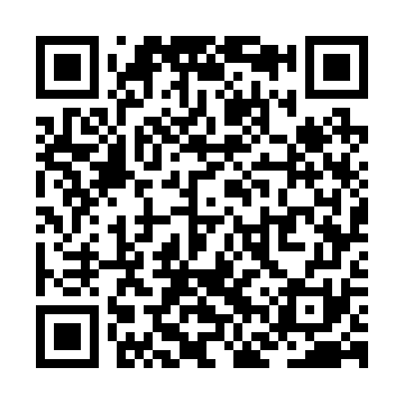 QR code for ZFW271