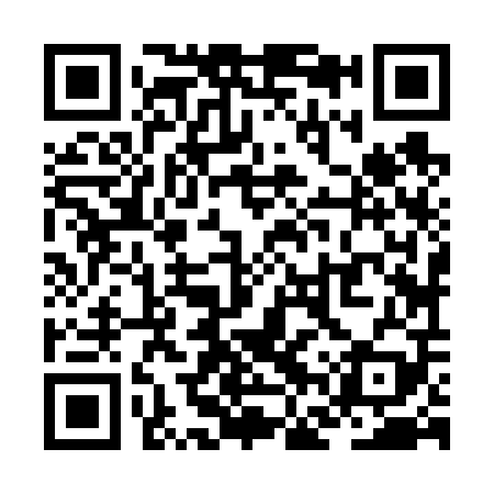 QR code for ZFZ609