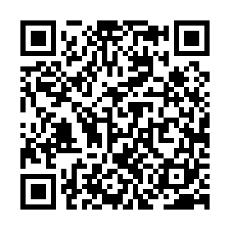 QR code for ZGD161