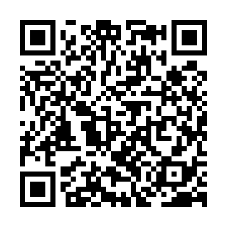 QR code for ZGI538