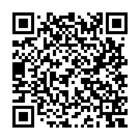 QR code for ZGJ161