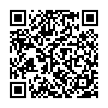 QR code for ZGM095
