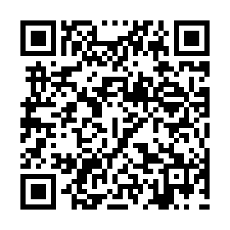 QR code for ZGM881
