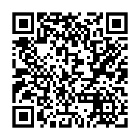 QR code for ZGN317